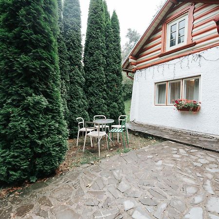 Vila Camelia Sinaia Bagian luar foto