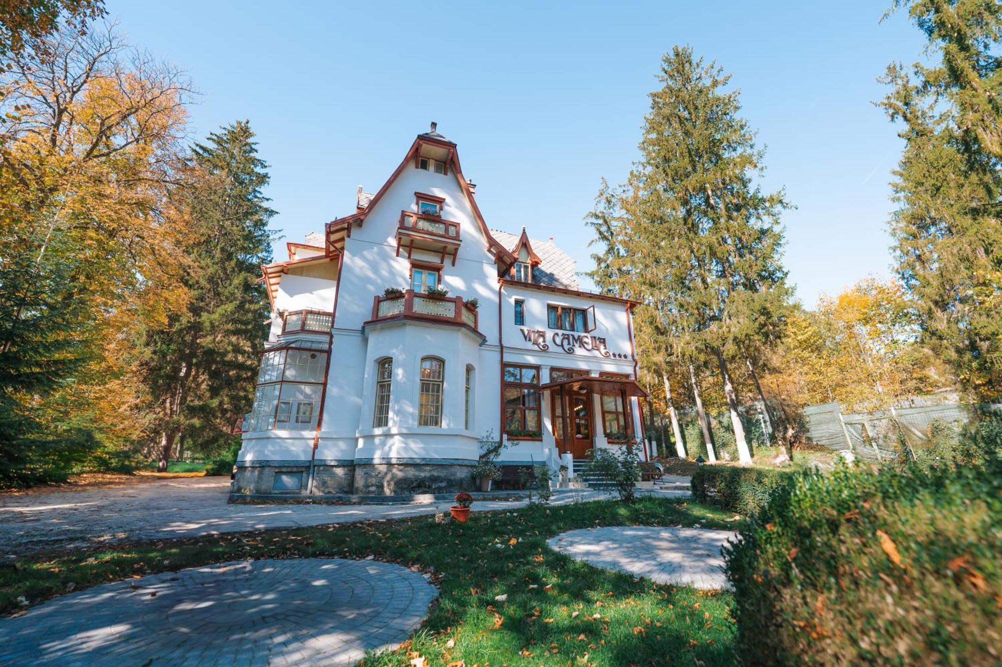 Vila Camelia Sinaia Bagian luar foto