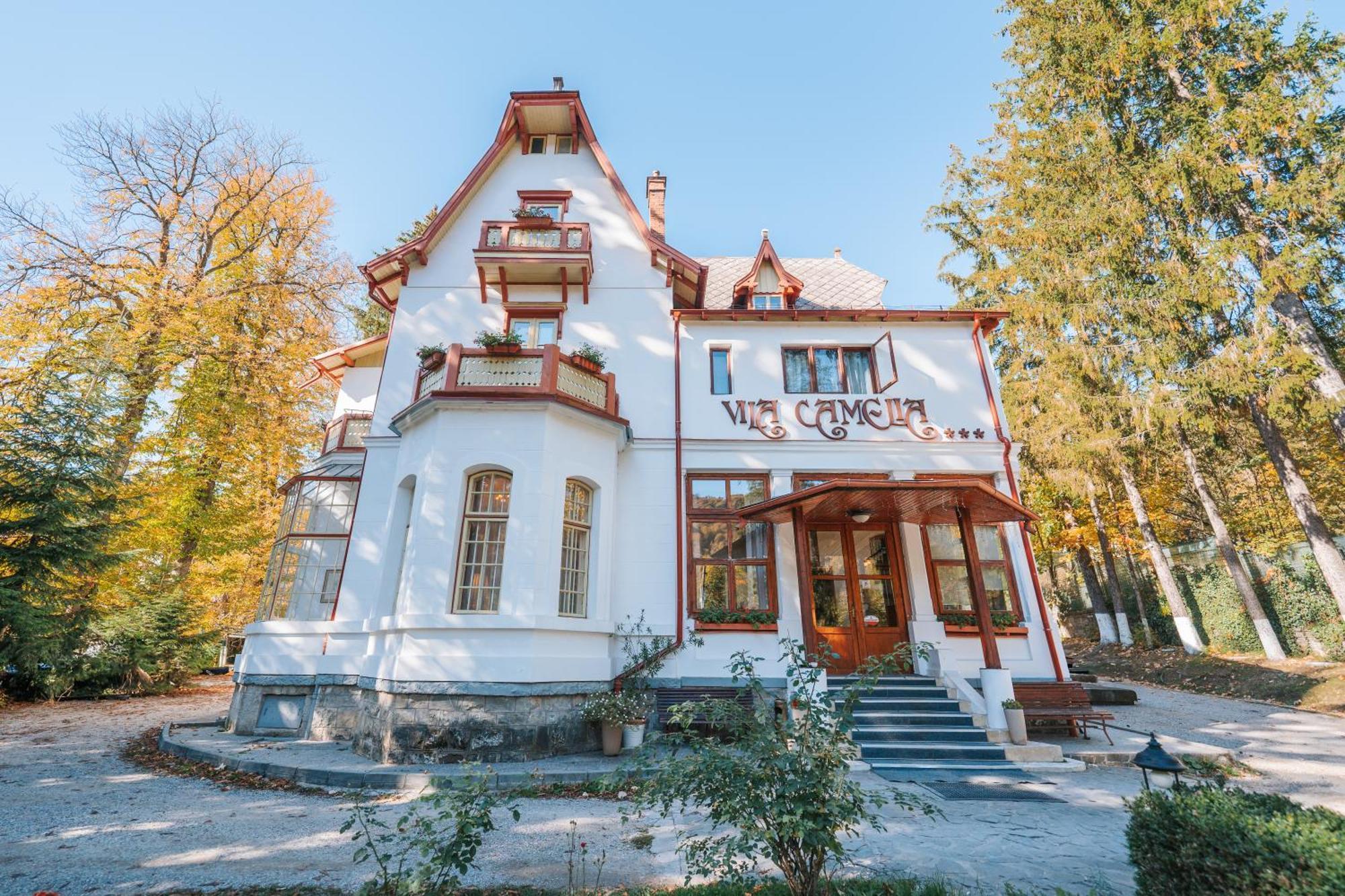 Vila Camelia Sinaia Bagian luar foto