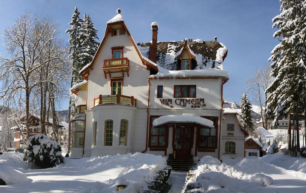 Vila Camelia Hotel Sinaia Bagian luar foto