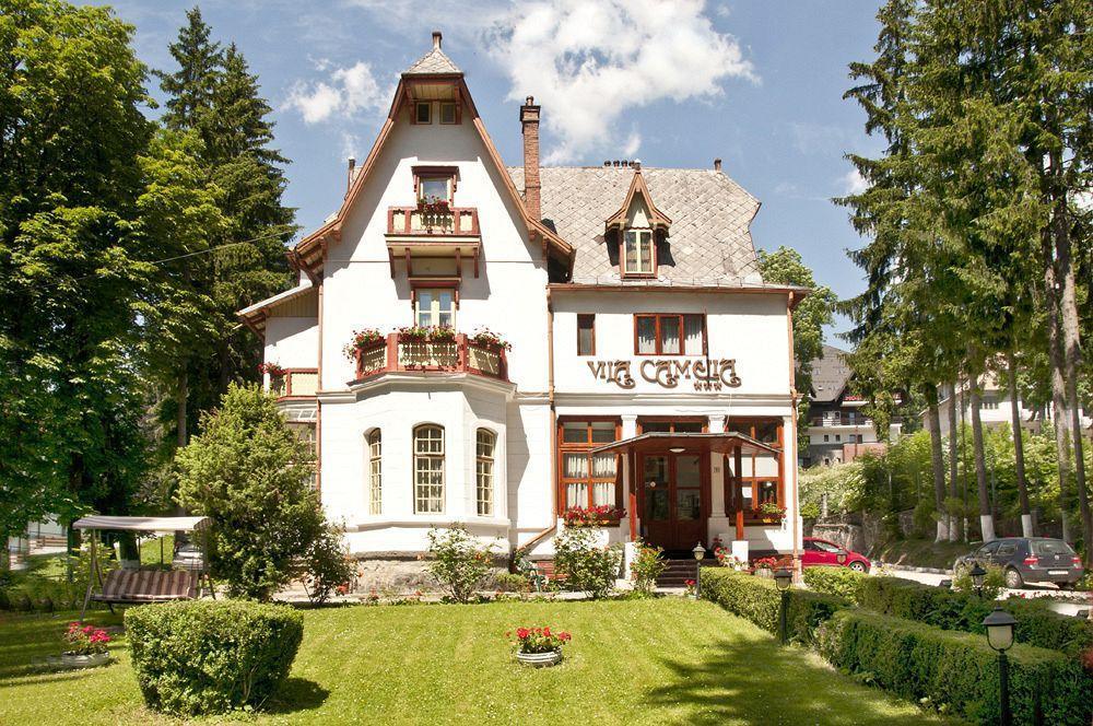 Vila Camelia Sinaia Bagian luar foto