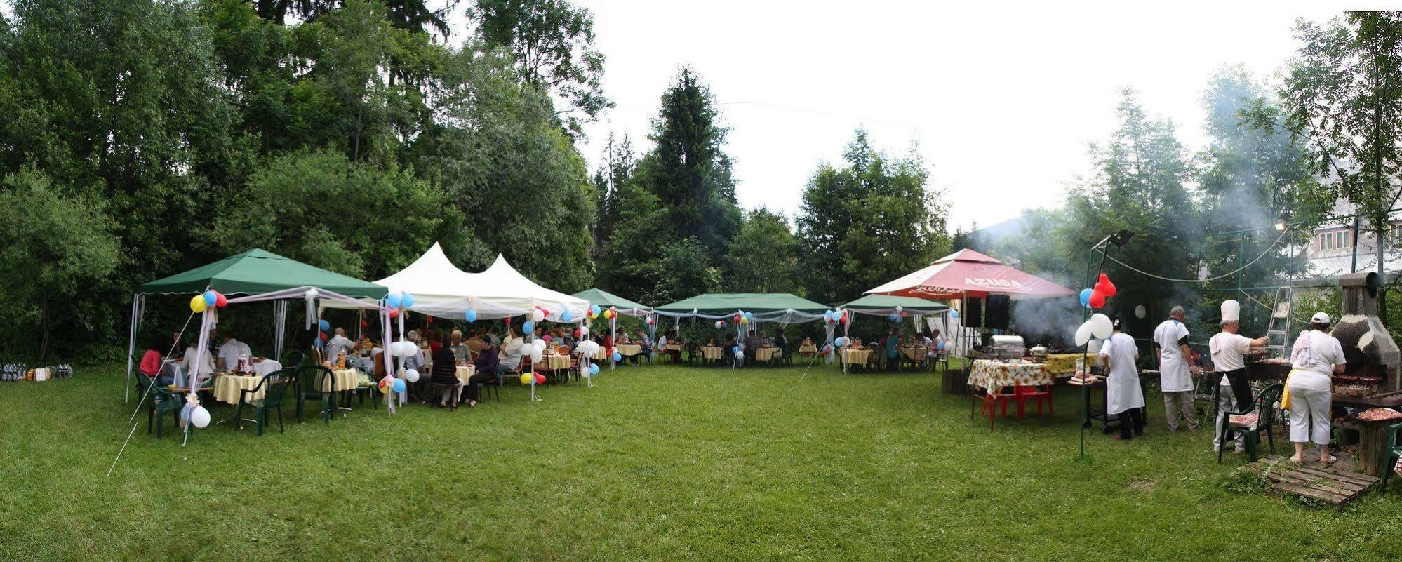 Vila Camelia Hotel Sinaia Bagian luar foto