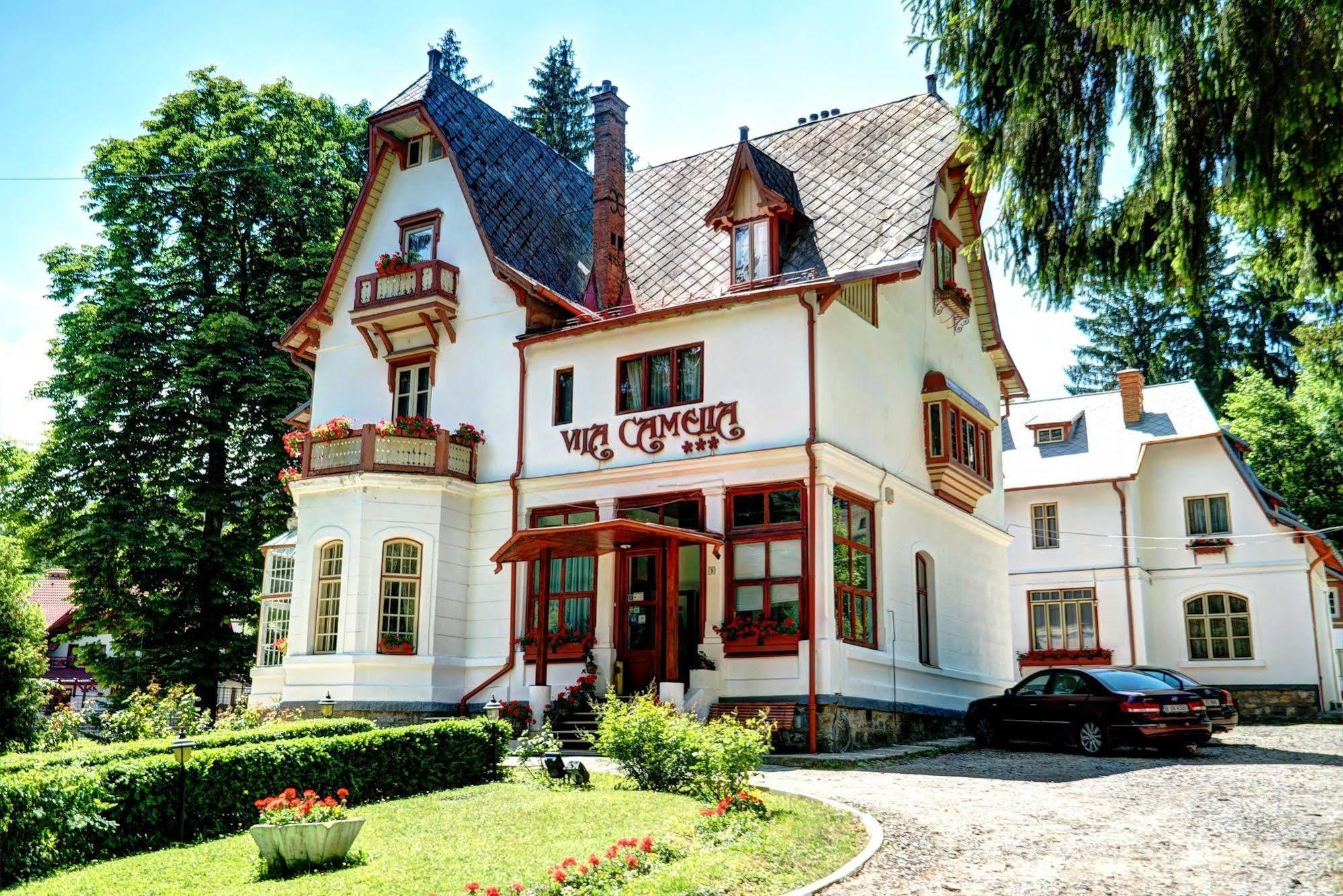 Vila Camelia Sinaia Bagian luar foto